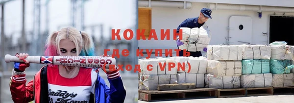 гашик Белокуриха