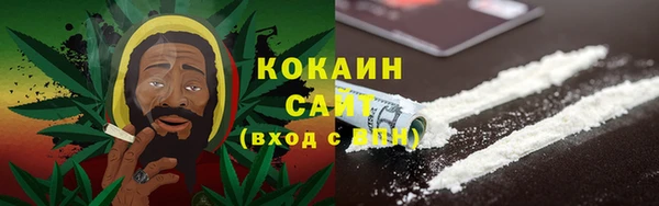 шишки Белоозёрский