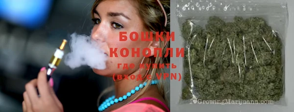шишки Белоозёрский