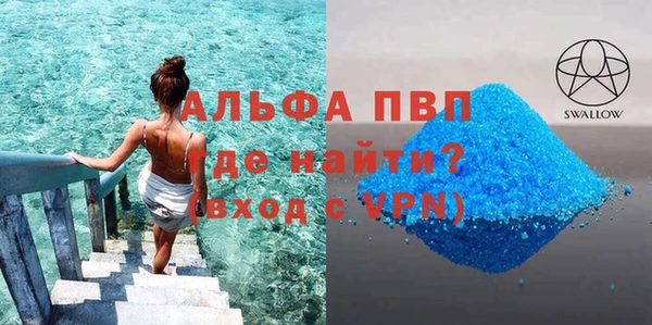 шишки Белоозёрский