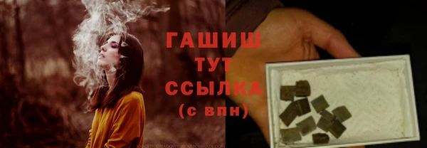гашик Белокуриха