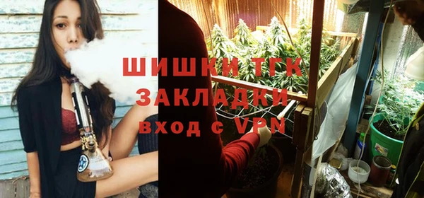 шишки Белоозёрский