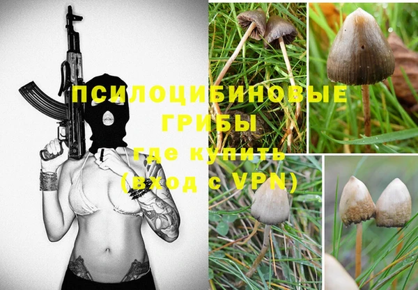 гашик Белокуриха