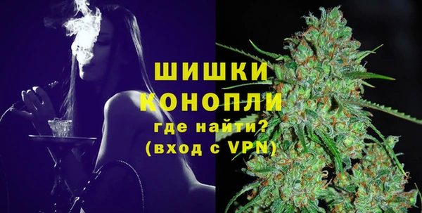 гашик Белокуриха