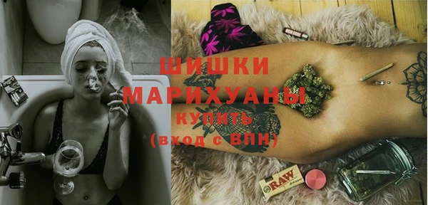 шишки Белоозёрский