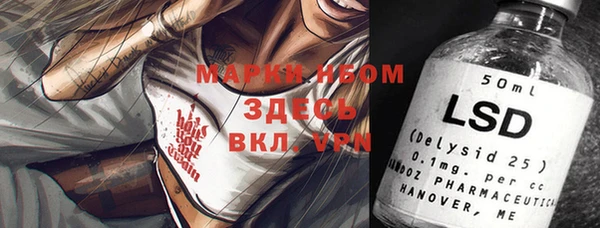 шишки Белоозёрский