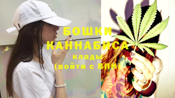 гашик Белокуриха