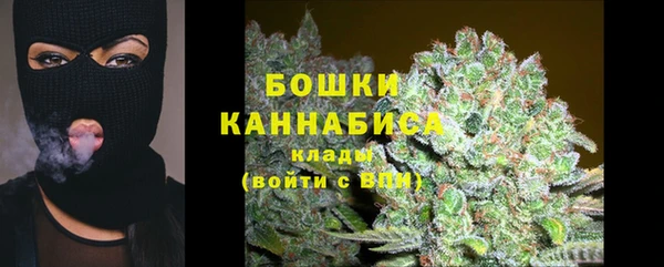 шишки Белоозёрский